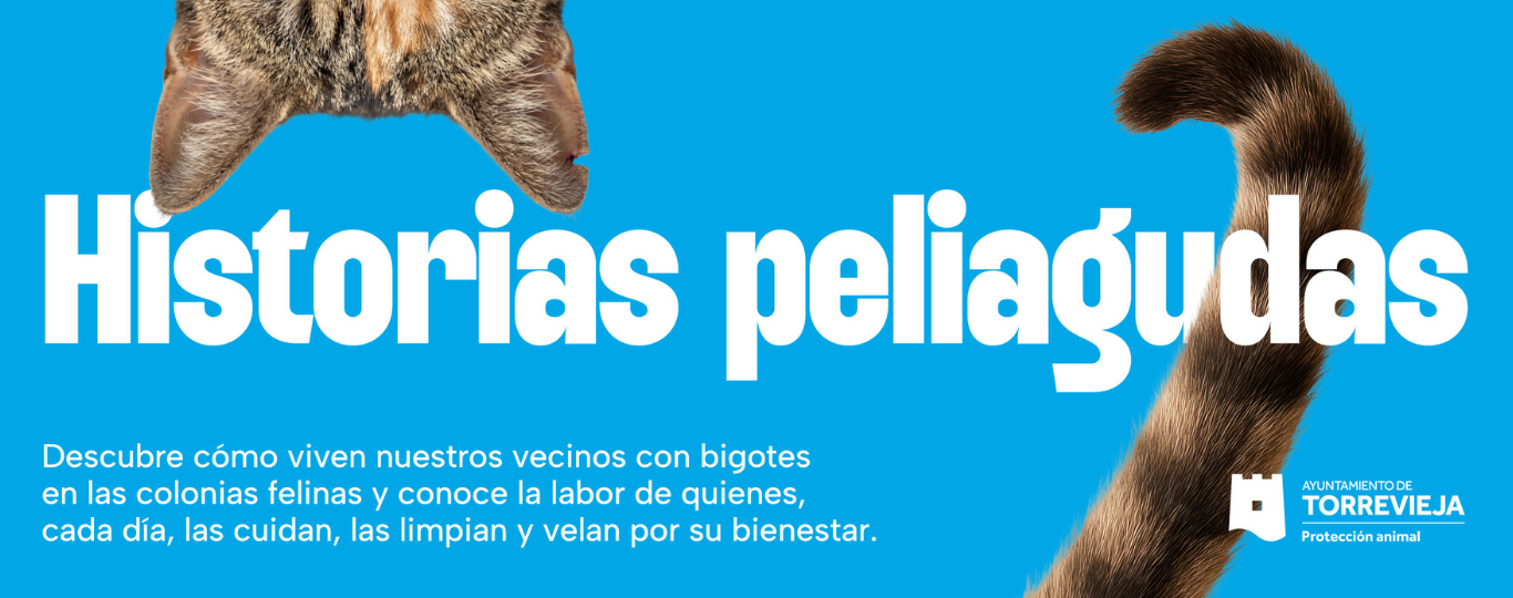Banner historia peliagudas