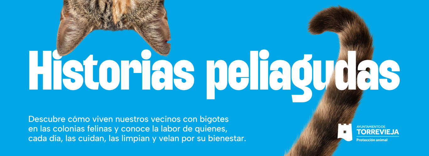 Historias peliagudas. Colonias felinas de Torrevieja