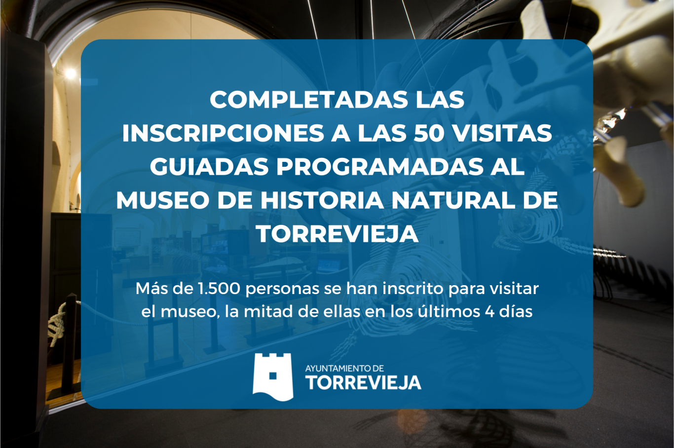 Inscripciones_Museo_Torrevieja