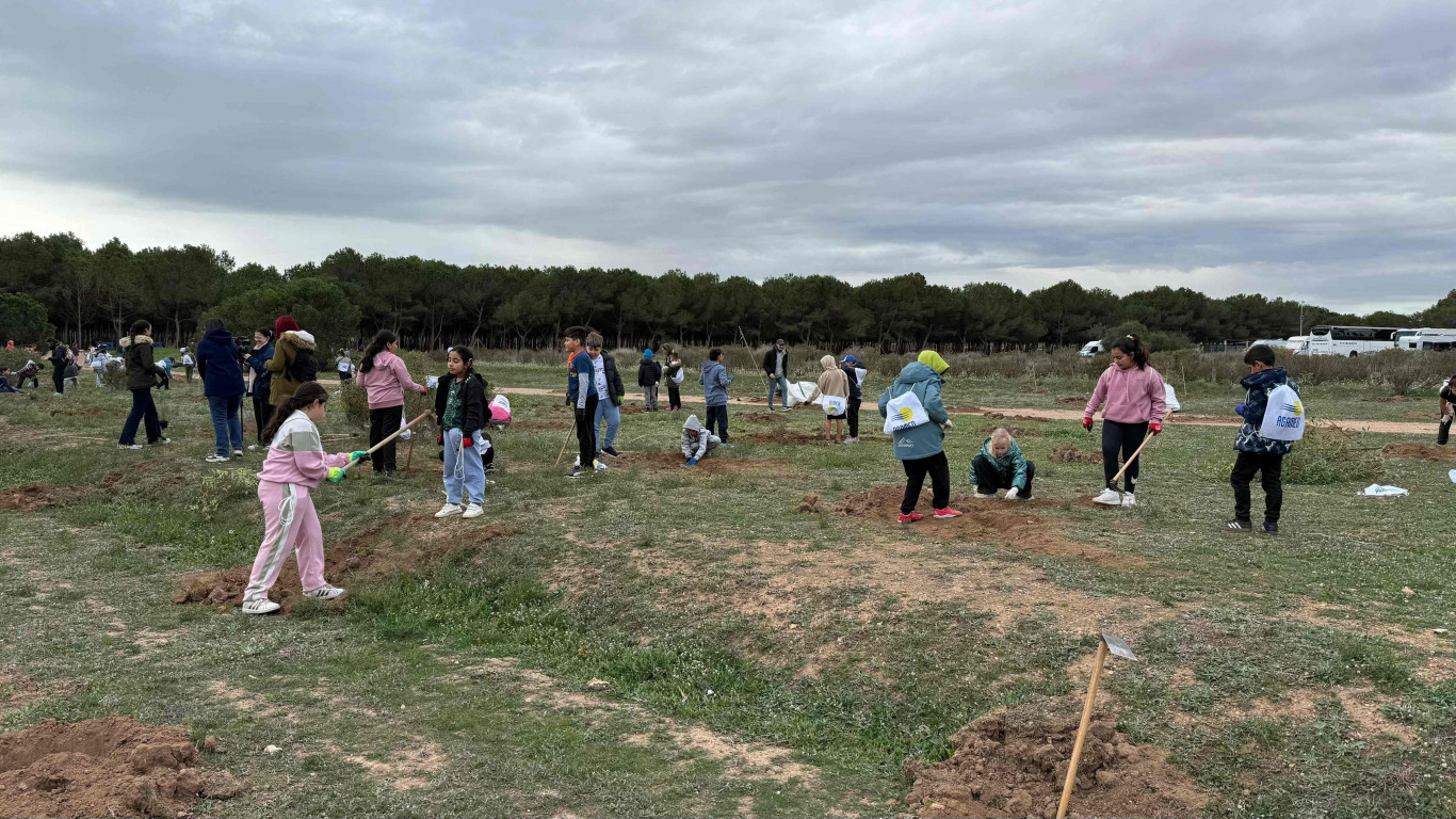 dia del arbol