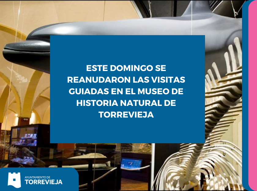 museo