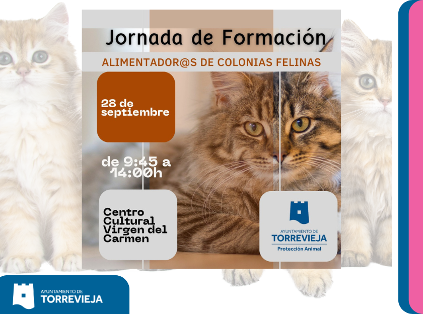 colonias felinas