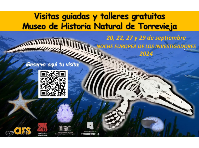 VUELVEN LAS VISITAS GUIADAS Y TALLERES DEL CEREBRO EN EL MUSEO DE HISTORIA NATURAL POR LA NOCHE EUROPEA DE LOS INVESTIGADORES