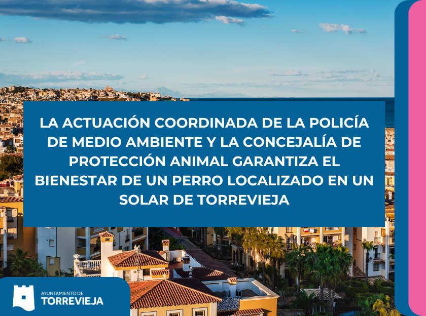 LA ACTUACIÓN COORDINADA DE LA POLICÍA DE MEDIO AMBIENTE Y LA CONCEJALÍA DE PROTECCIÓN ANIMAL GARANTIZA EL BIENESTAR DE UN PERRO LOCALIZADO EN UN SOLAR DE TORREVIEJA