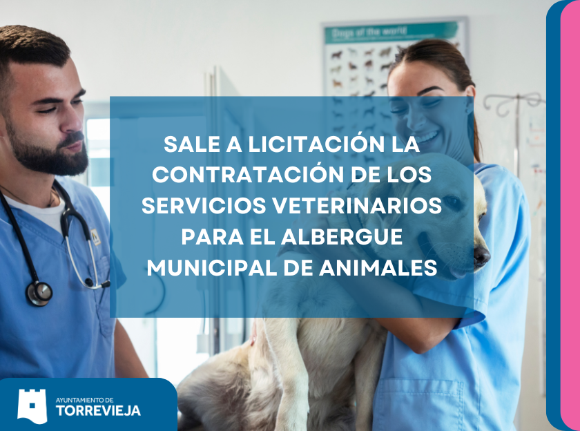 SALE A LICITACIÓN LA CONTRATACIÓN DE LOS SERVICIOS VETERINARIOS PARA EL ALBERGUE MUNICIPAL DE ANIMALES