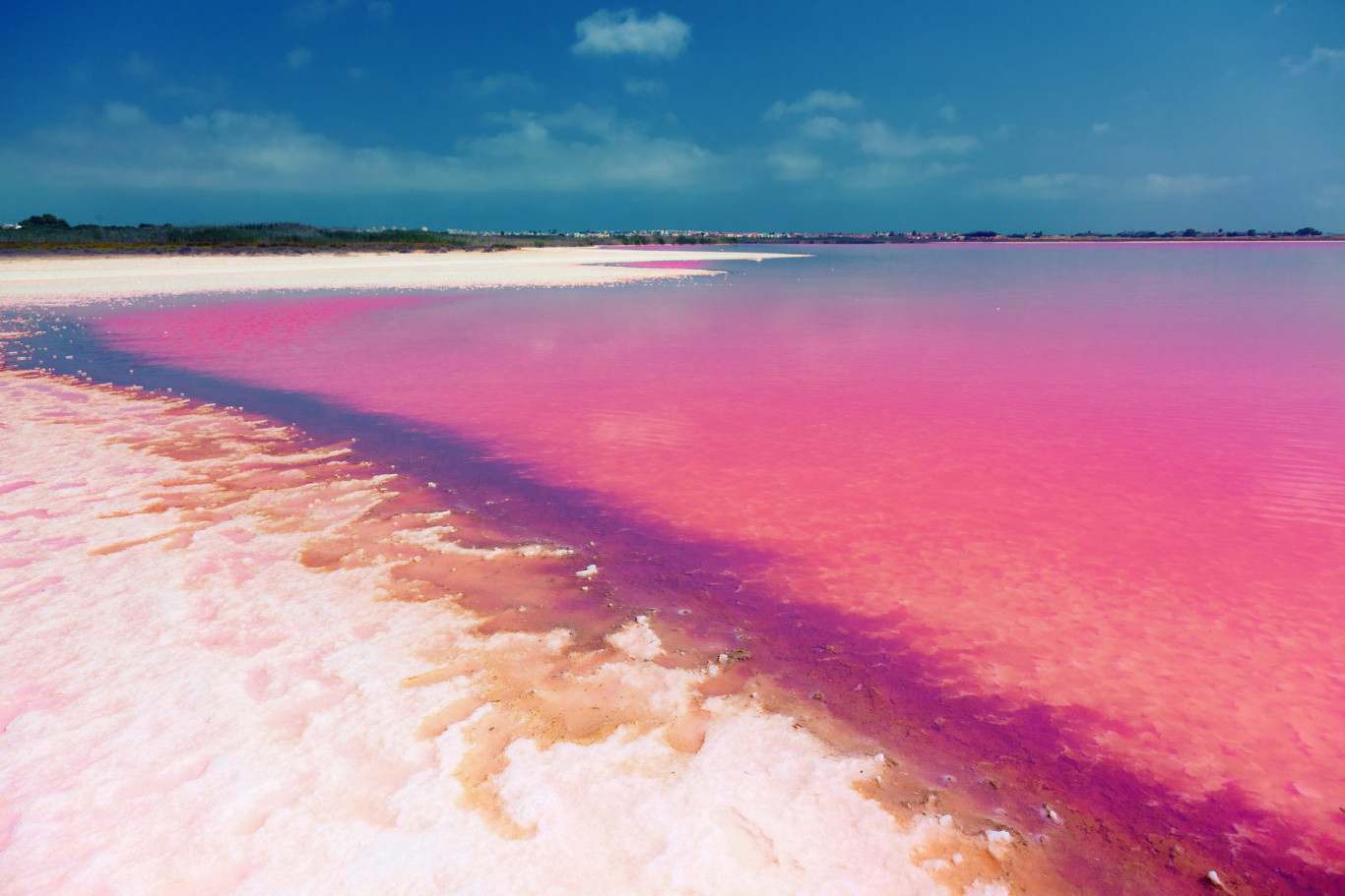 Laguna Rosa