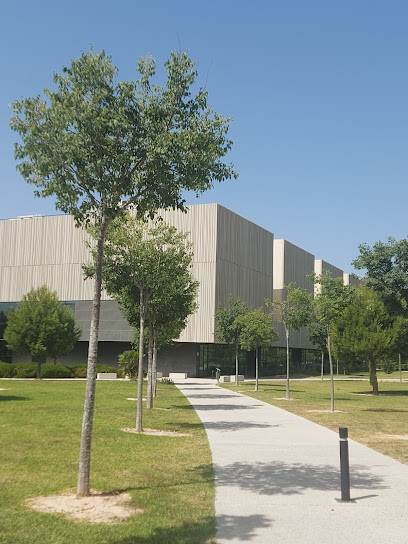 UMH CAFETERIA Edificio Arenals