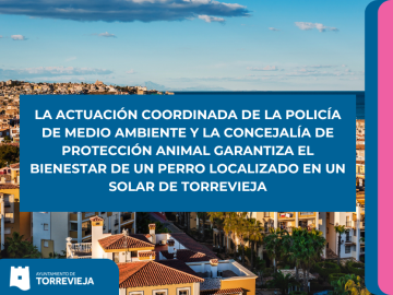 LA ACTUACIÓN COORDINADA DE LA POLICÍA DE MEDIO AMBIENTE Y LA CONCEJALÍA DE PROTECCIÓN ANIMAL GARANTIZA EL BIENESTAR DE UN PERRO LOCALIZADO EN UN SOLAR DE TORREVIEJA
