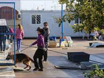albergue de animales
