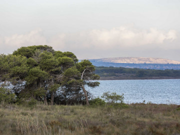 parque natural la mata